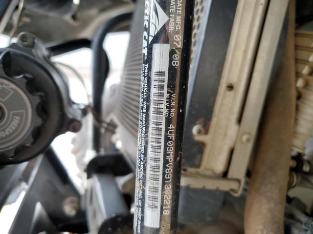 4UF09MPV89T302218 - 2009 ARCTIC CAT PROWLER 70 GREEN photo 10