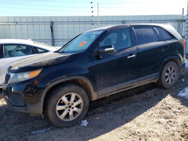 2011 KIA SORENTO BASE, 