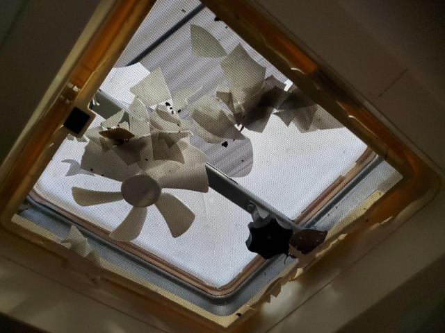 4YDT25R208B450382 - 2008 KEYSTONE OUTBACK WHITE photo 9