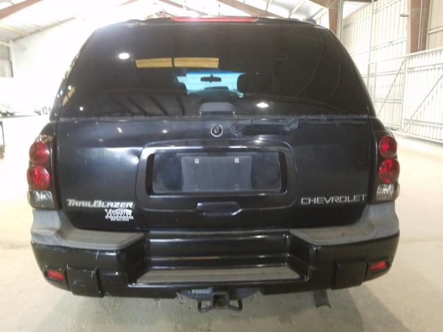 1GNDS13S332230629 - 2003 CHEVROLET TRAILBLAZER  photo 9