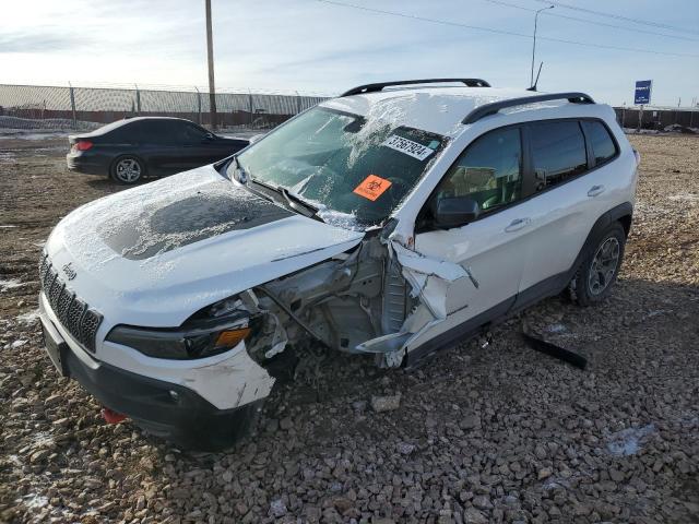 1C4PJMBX0LD520130 - 2020 JEEP CHEROKEE TRAILHAWK თეთრი ფოტო 1