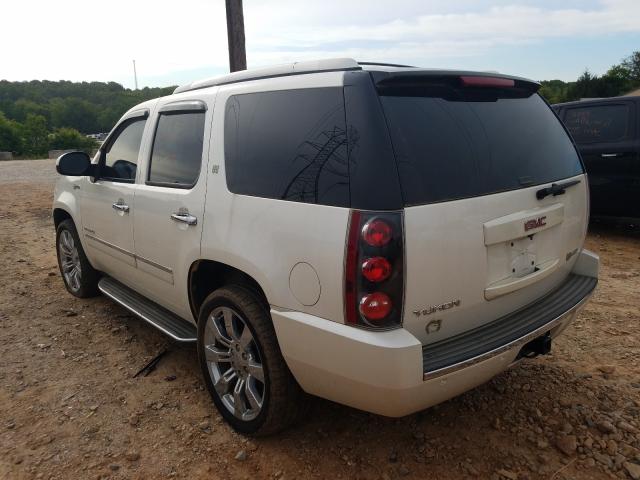 1GKUKGEJ5AR276360 - 2010 GMC YUKON DENALI HYBRID  photo 3