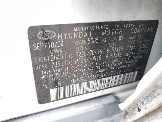 KM8SC13D25U877718 - 2005 HYUNDAI SANTA FE GLS  photo 10