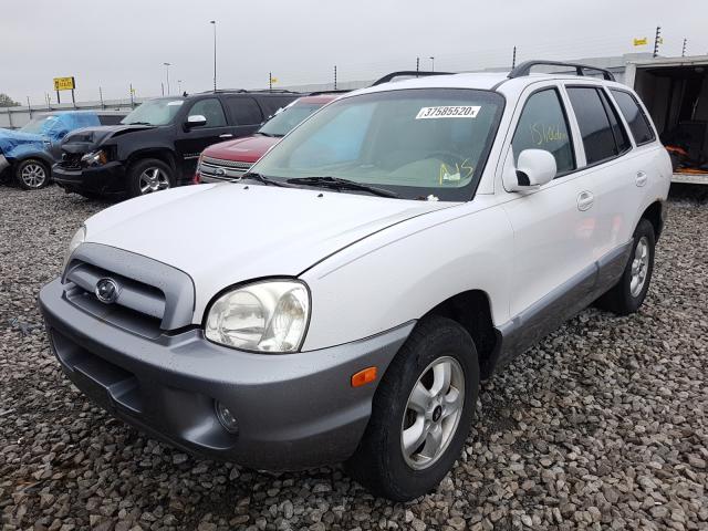 KM8SC13D25U877718 - 2005 HYUNDAI SANTA FE GLS  photo 2