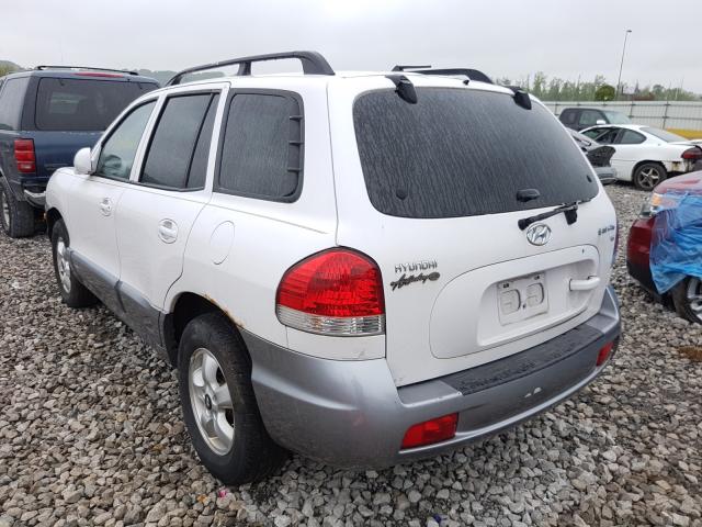 KM8SC13D25U877718 - 2005 HYUNDAI SANTA FE GLS  photo 3