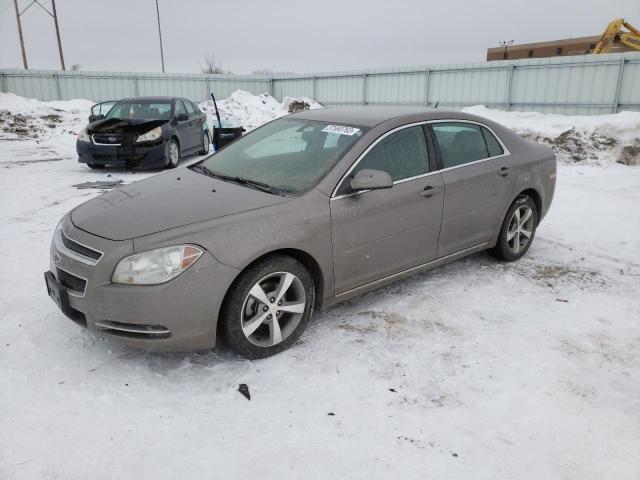 1G1ZC5E13BF329832 - 2011 CHEVROLET MALIBU 1LT BROWN photo 1