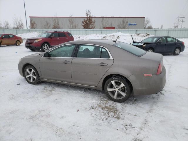 1G1ZC5E13BF329832 - 2011 CHEVROLET MALIBU 1LT BROWN photo 2