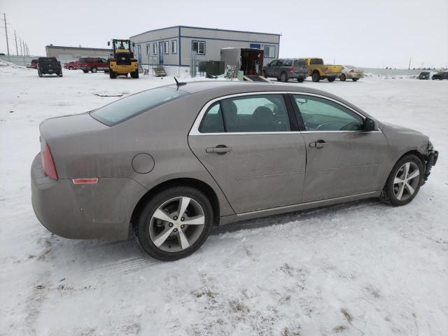 1G1ZC5E13BF329832 - 2011 CHEVROLET MALIBU 1LT BROWN photo 3