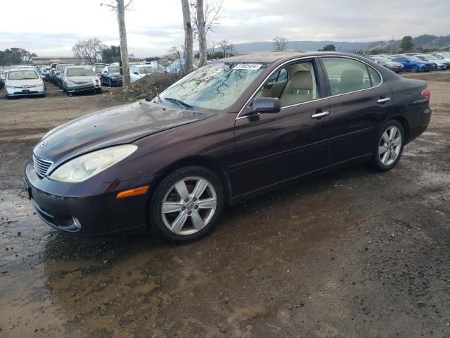 JTHBA30G855065885 - 2005 LEXUS ES 330 PURPLE photo 1