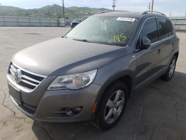 WVGAV7AX8AW533430 - 2010 VOLKSWAGEN TIGUAN S  photo 2