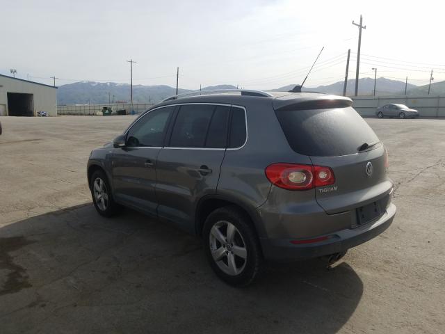 WVGAV7AX8AW533430 - 2010 VOLKSWAGEN TIGUAN S  photo 3