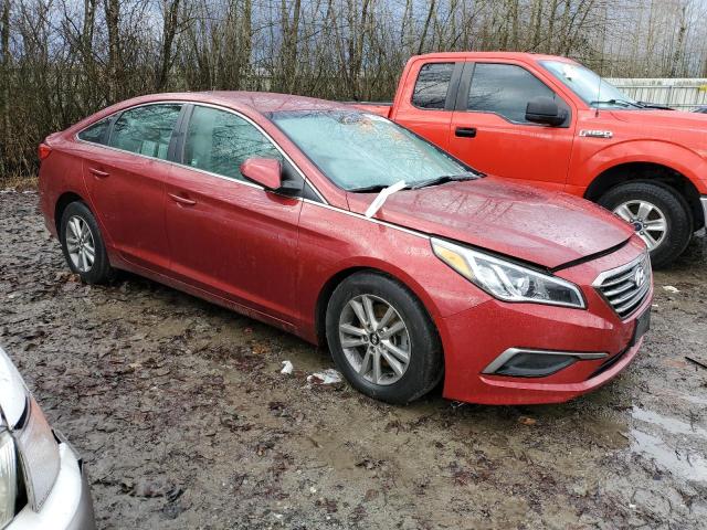 5NPE24AF8GH296151 - 2016 HYUNDAI SONATA SE BURGUNDY photo 4