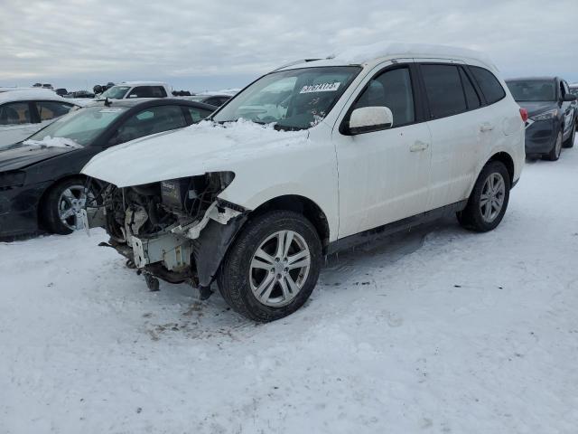 5NMSHDAG4AH333582 - 2010 HYUNDAI SANTA FE SE WHITE photo 1