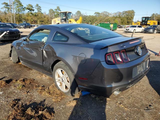 1ZVBP8AM1D5217552 - 2013 FORD MUSTANG CHARCOAL photo 2