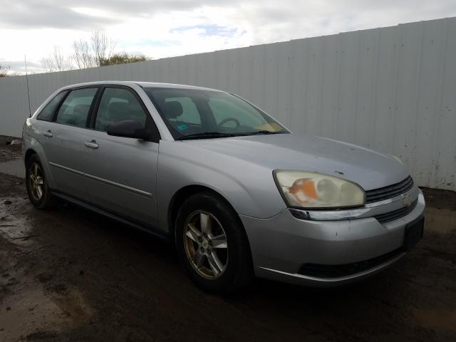 1G1ZT64815F162377 - 2005 CHEVROLET MALIBU MAXX LS  照片 1