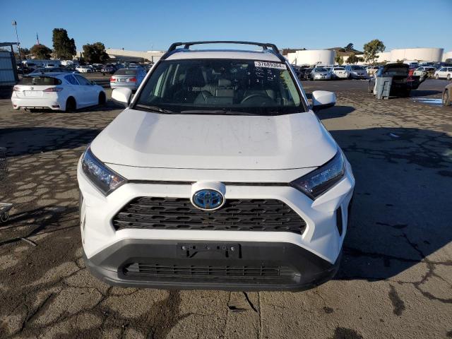 4T3MWRFV9LU008976 - 2020 TOYOTA RAV4 LE WHITE photo 5