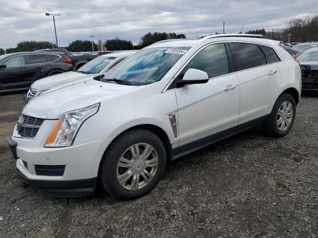 3GYFNDEY0BS624243 - 2011 CADILLAC SRX LUXURY COLLECTION WHITE photo 1