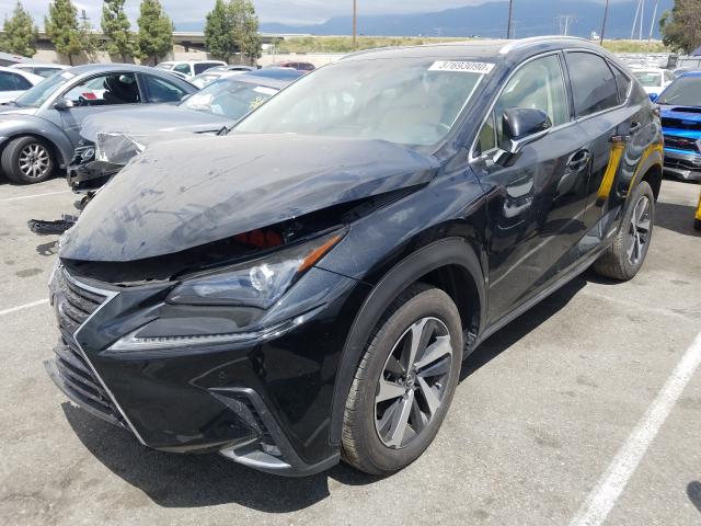 JTJBJRBZ3J2088681 - 2018 LEXUS NX 300H  photo 2