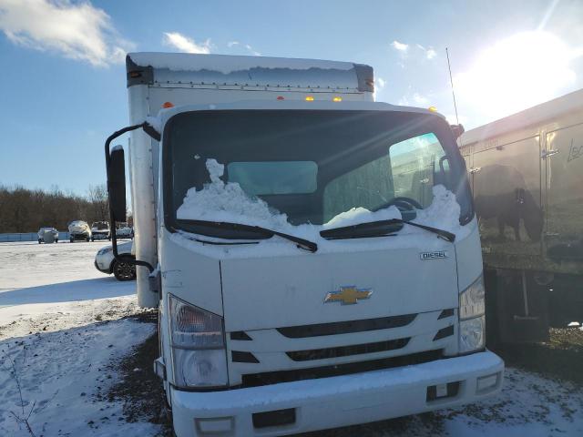 JALCDW161M7006134 - 2021 CHEVROLET 4500HD WHITE photo 5