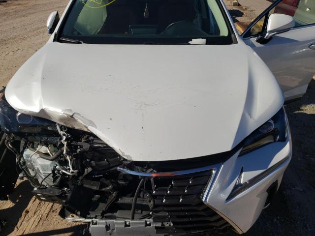 JTJYARBZ5K2150206 - 2019 LEXUS NX 300 BASE Ağ foto 12