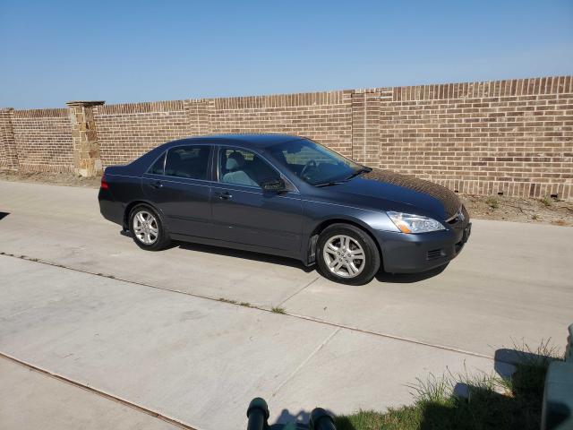 JHMCM56367C003198 - 2007 HONDA ACCORD SE  photo 1