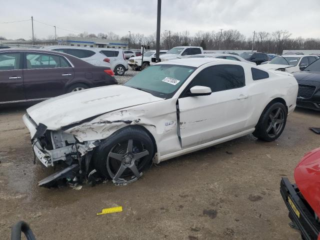 1ZVBP8CF6D5281729 - 2013 FORD MUSTANG GT WHITE photo 1