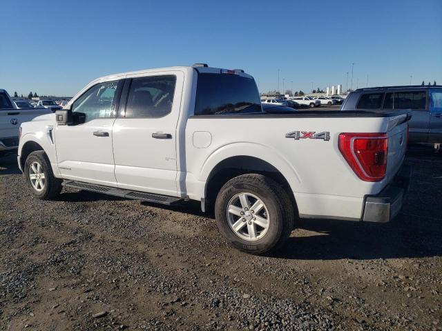 1FTFW1ED6PFA39595 - 2023 FORD F150 SUPERCREW WHITE photo 2