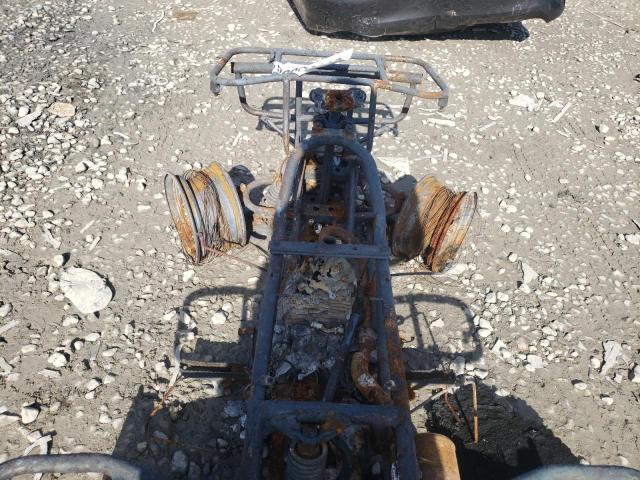 478TE2106XA214092 - 1999 HONDA TRX250 BURN photo 8