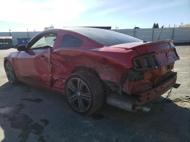 1ZVBP8AM3D5221652 - 2013 FORD MUSTANG RED photo 2