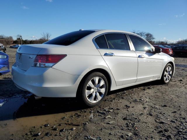 5KBCP3F85AB012818 - 2010 HONDA ACCORD EXL WHITE photo 3