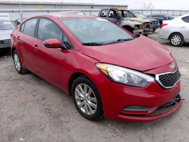 KNAFX4A6XE5223718 - 2014 KIA FORTE LX RED photo 4