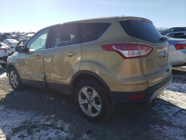 1FMCU0GX7EUC52764 - 2014 FORD ESCAPE SE GOLD photo 2