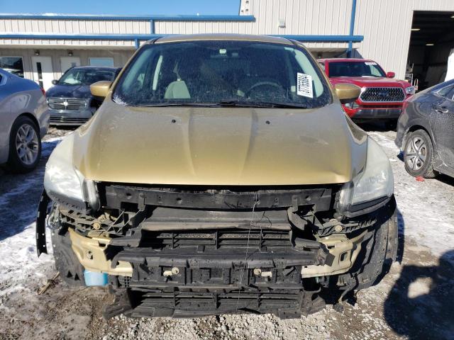 1FMCU0GX7EUC52764 - 2014 FORD ESCAPE SE GOLD photo 5