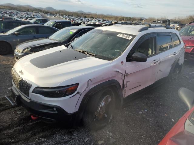 1C4PJMBX9KD422180 - 2019 JEEP CHEROKEE TRAILHAWK თეთრი ფოტო 1