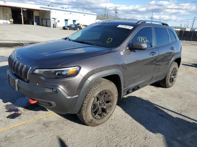 1C4PJMBX9MD252924 - 2021 JEEP CHEROKEE TRAILHAWK GRAY photo 1