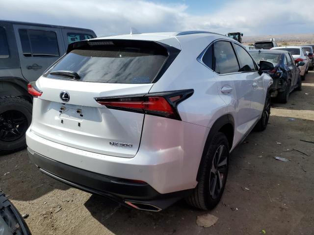 JTJGARBZ1M5025314 - 2021 LEXUS NX 300 BASE თეთრი ფოტო 3