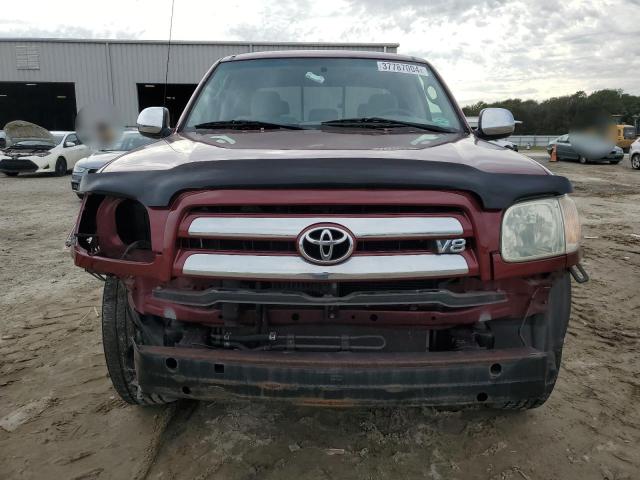 5TBRT341X6S481831 - 2006 TOYOTA TUNDRA ACCESS CAB SR5 BURGUNDY photo 5