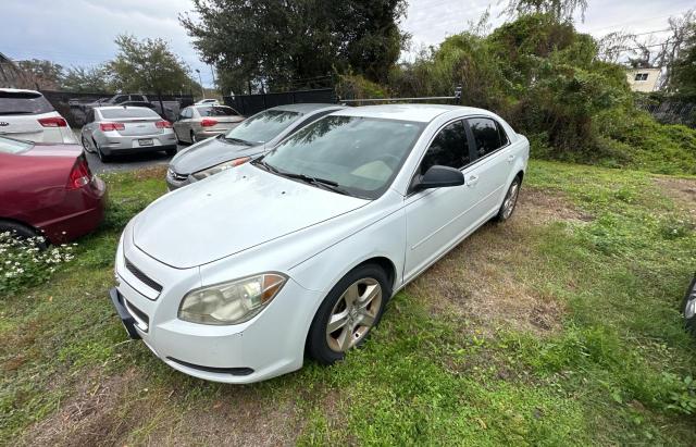 1G1ZB5EB3AF157814 - 2010 CHEVROLET MALIBU LS WHITE photo 2