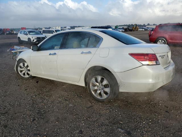 1HGCP36808A070001 - 2008 HONDA ACCORD EXL WHITE photo 2