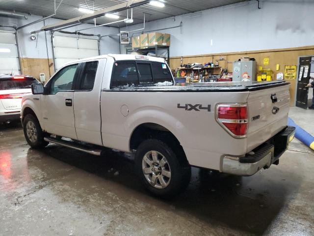 1FTFX1ET4EFB59896 - 2014 FORD F150 SUPER CAB WHITE photo 2