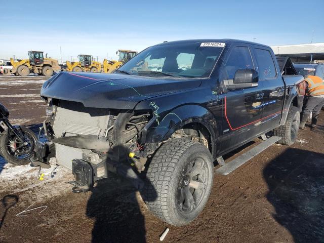 2017 FORD F150 SUPERCREW, 