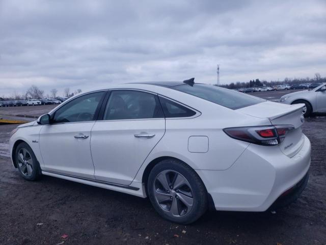 KMHE34L19GA008350 - 2016 HYUNDAI SONATA HYBRID WHITE photo 2