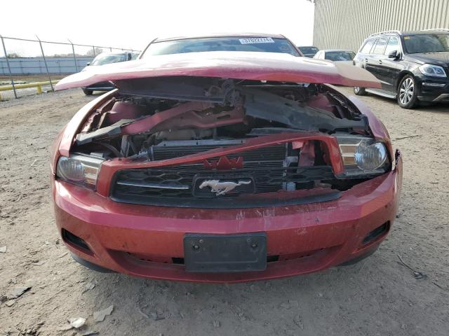 1ZVBP8AN1A5104477 - 2010 FORD MUSTANG RED photo 5