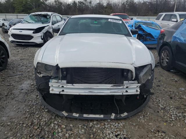 1ZVBP8AM4E5319221 - 2014 FORD MUSTANG WHITE photo 5