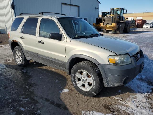 1FMYU03185KD09198 - 2005 FORD ESCAPE XLT BEIGE photo 4