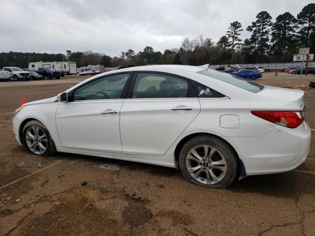 5NPEC4AC6DH732655 - 2013 HYUNDAI SONATA SE WHITE photo 2