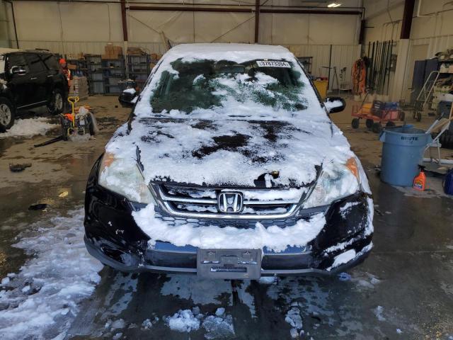 5J6RE4H71AL068612 - 2010 HONDA CR-V EXL BLACK photo 5