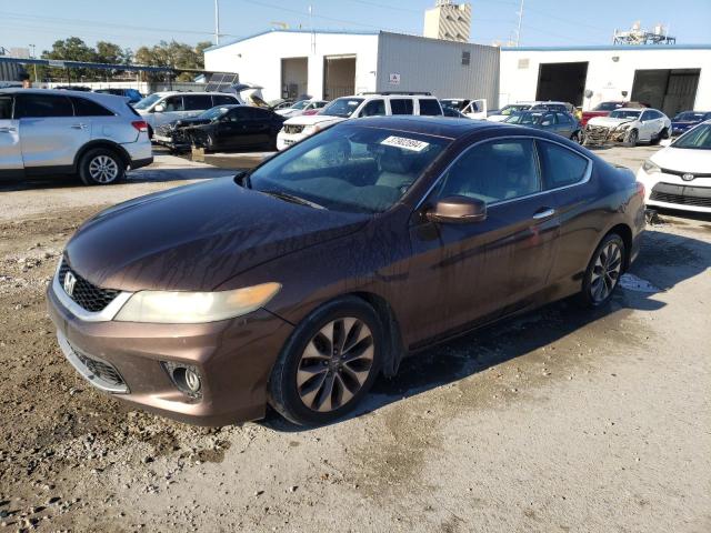 1HGCT1B82EA001215 - 2014 HONDA ACCORD EXL BROWN photo 1