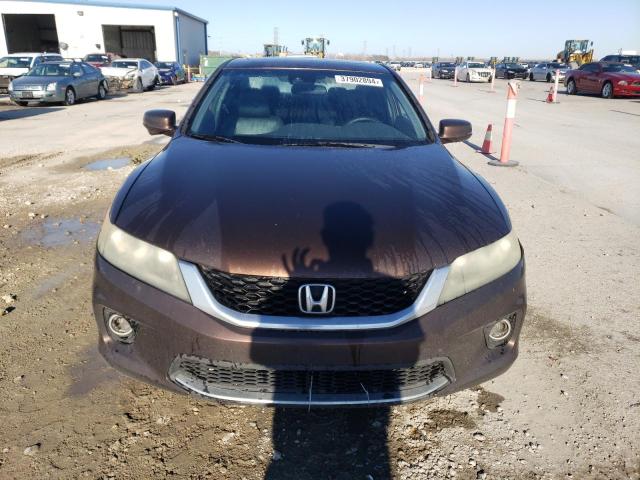 1HGCT1B82EA001215 - 2014 HONDA ACCORD EXL BROWN photo 5