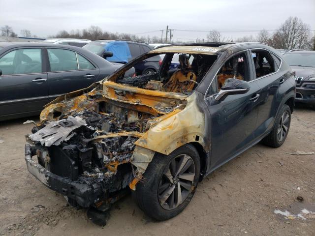 JTJGARDZ8M2247993 - 2021 LEXUS NX 300 BASE 黑色 照片 1